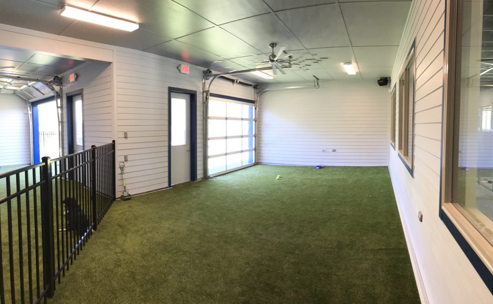 New Doggie Daycare, Paws & Paw Paws is Now Open Developing Lafayette