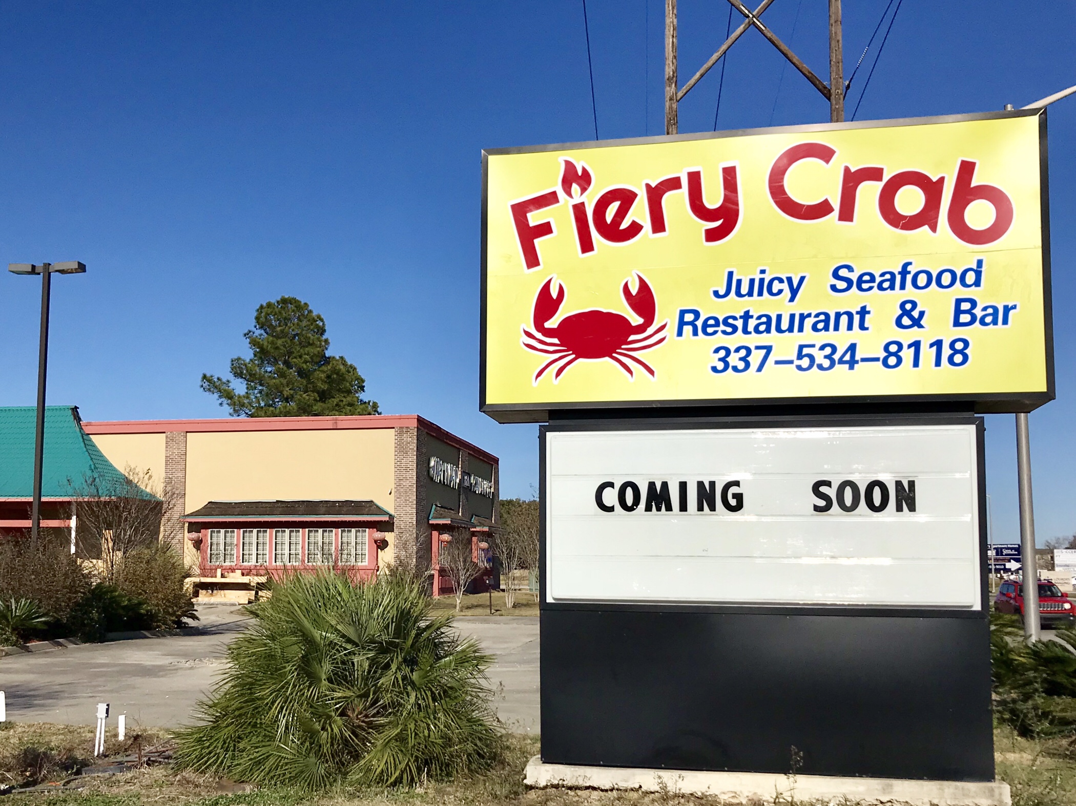 Fiery Crab