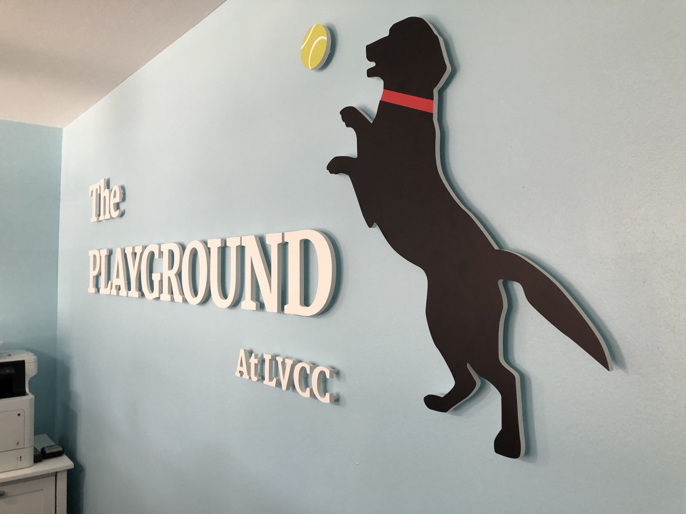 The Playground, A Vet Supervised Doggie Boarding & Grooming Facility By