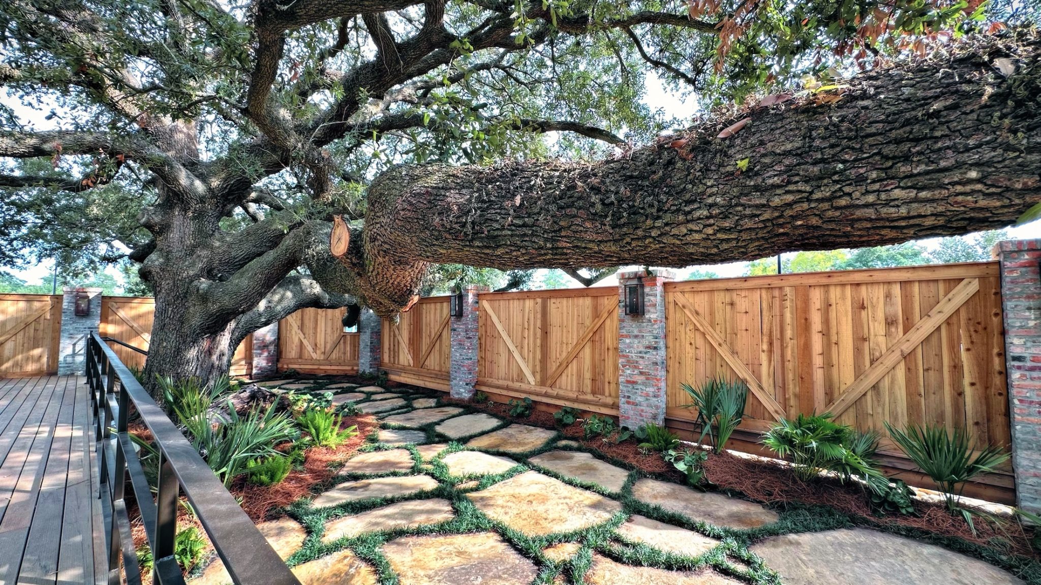 Inside The Chimes of Lafayette, Opening Monday, September 25th Developing Lafayette