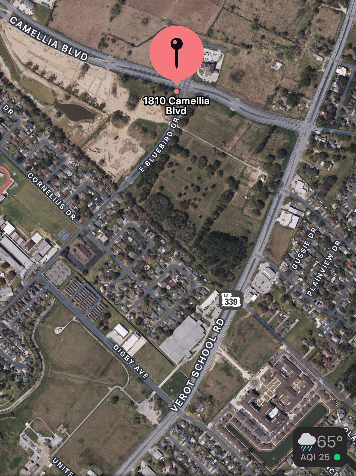 Inside of the New Rouses Market Opening Tomorrow at Camellia Blvd